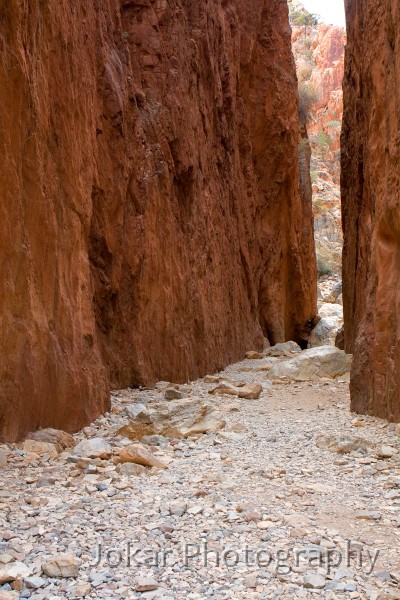 Larapinta_20080612_541 copy.jpg - Standley Chasm